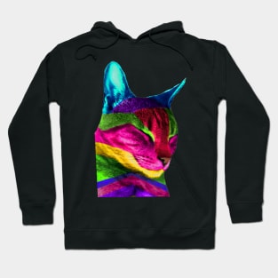 Multicolored Cat Hoodie